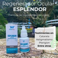 Esplendor y testimonio
