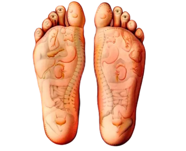 Reflexologia Podal