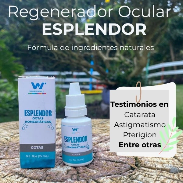 Esplendor y testimonio
