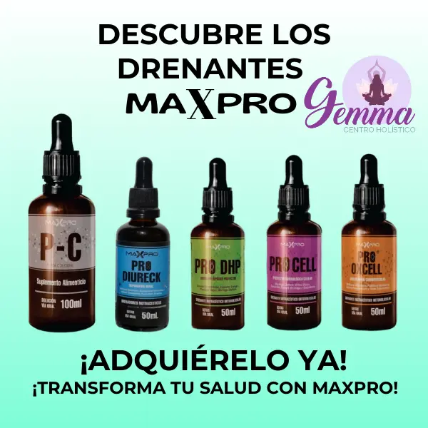 imagen Productos