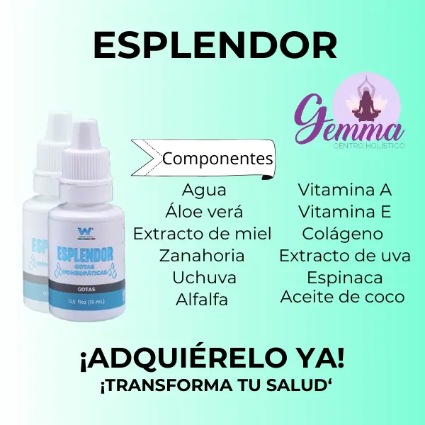Esplendor y testimonio